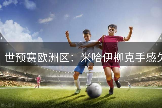 世预赛欧洲区：米哈伊柳克手感欠佳仍贡献全面数据
