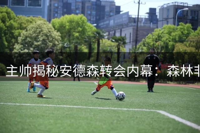 主帅揭秘安德森转会内幕：森林非顶级豪门但正稳步前行